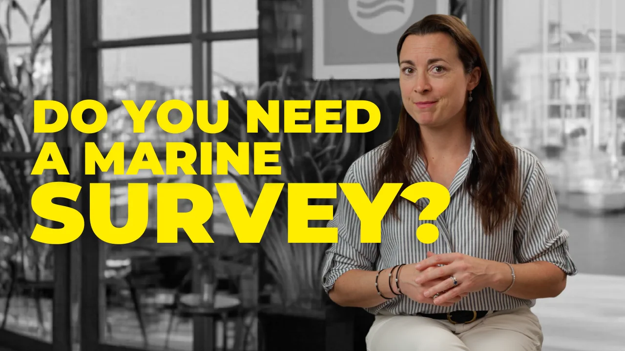What is a marine survey?